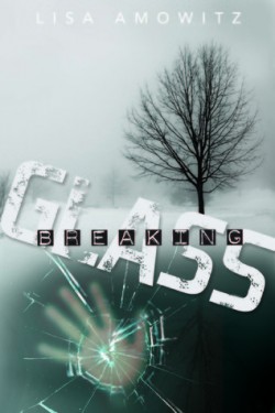 {Bieke Reviews} Breaking Glass + Vision by Lisa Amowitz {Bieke Reviews} Breaking Glass + Vision by Lisa Amowitz